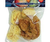 Natural Sponge Set - Silk Wool
