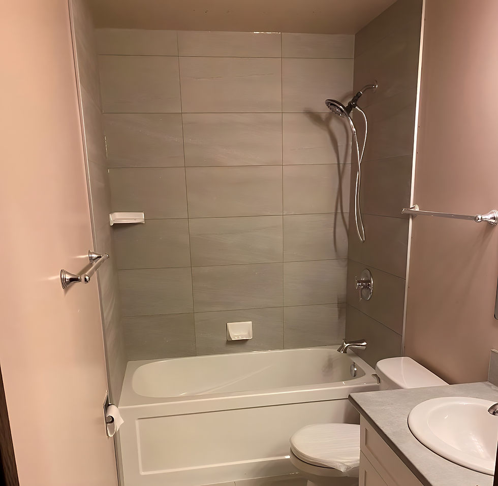 Option 1 Bathroom Renovation.