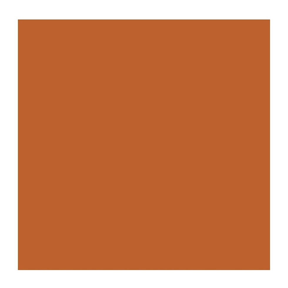 Thumbnail: Rembrandt Artist Oil Paint | Earth Tones