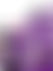 El feminismo realmente es para todxs. Corrientes del movimiento feminista.