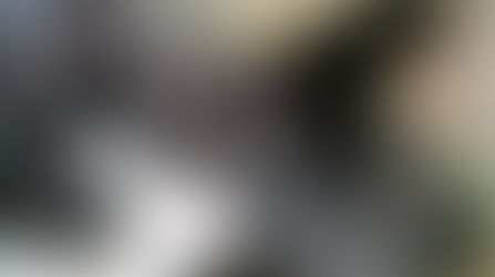 New Website and Merch!!!