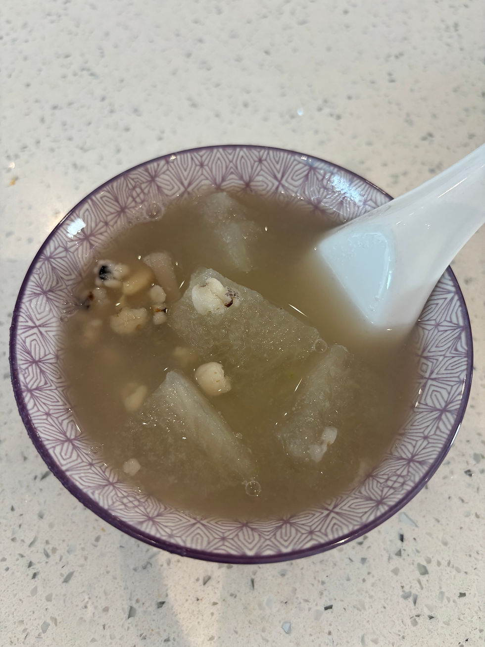 Winter Melon Soup