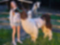 2024-05-15_21-02-00_026.jpeg