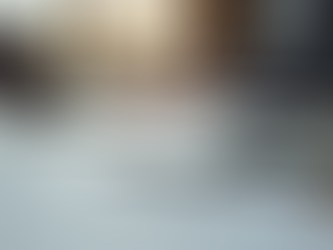 The Art of Portfolio Design by Meghan Manley