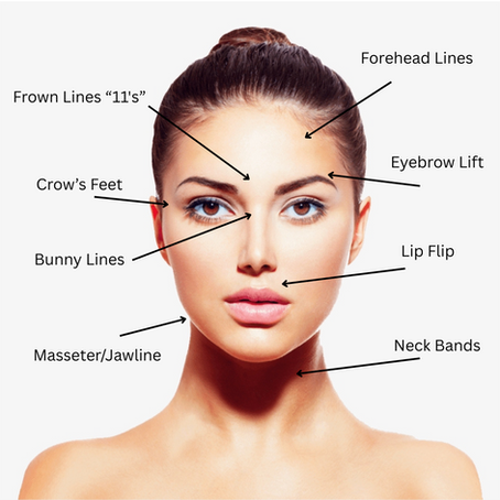 Exploring the Different Uses of Botox for Facial Rejuvenation