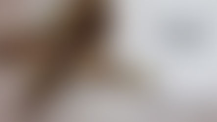 à Brest - Expo WEN2 - du 10 au 31 décembre 2019