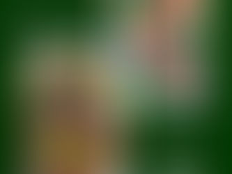 Exposition des peintures de Olga CHILOVA-STEPHAN mairie de Logonna Daoulas