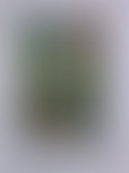 à Pont-Coblant - Exposition de peintures - été 2021