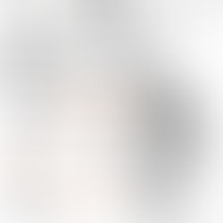 à Carantec et à Roscoff - exposition serge Marzin - du 31 mars au 3 mai 2020