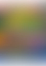 à Pont-Aven - Corneille au musée - du 1er février Prolongé jusqu'au 20 septembre 2020