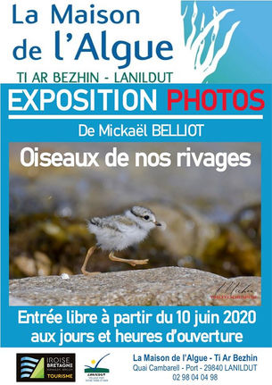 à Lanildut - Exposition de photos - jusqu'à fin août 2020