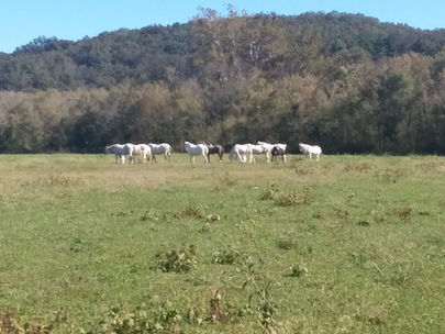 Quantum God - Superposition