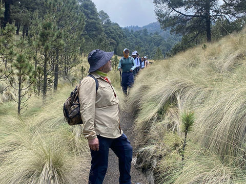 ¿Qué ropa elegir para hacer senderismo?