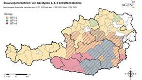 Empfehlungen zur Blauzungen- Impfung 2026