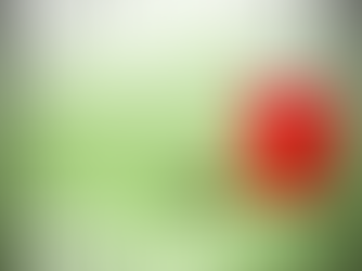 Episode 115 | TAKING BREAKS & HOLIDAYS (or The Importance of a Little R&R)