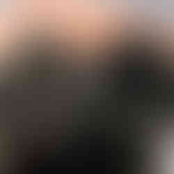 UK Blank Firer Legislation 3