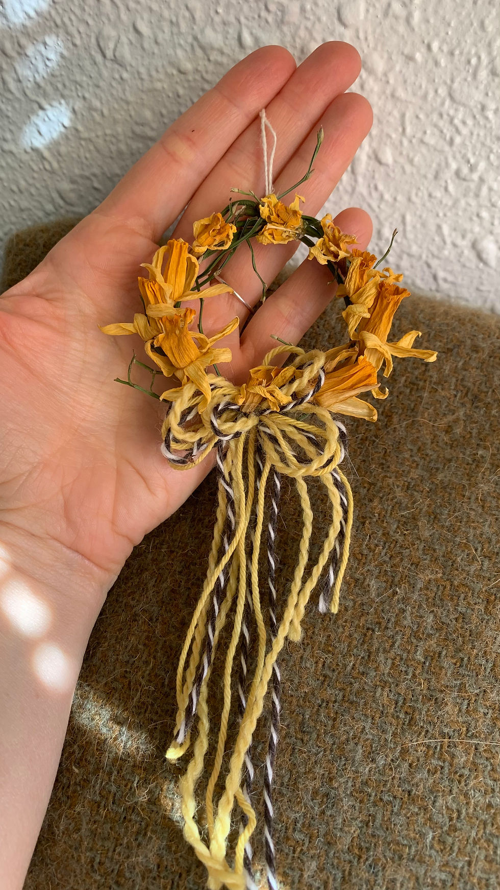 Thumbnail: Daffodil Jetfire Tiny Wreath