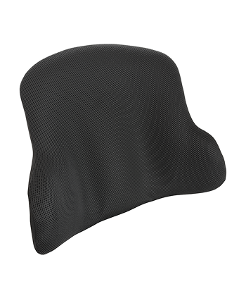 PROTUES Back Support