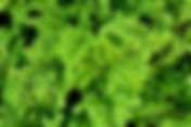 Components of Building Green: HVAC 