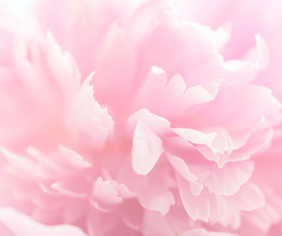 46F20238-2652-4D87-BC60-36CA51B02D9E.png