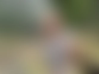 Bathing with Elephants