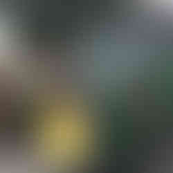 My host brother Loric driving their tractor in the parade 