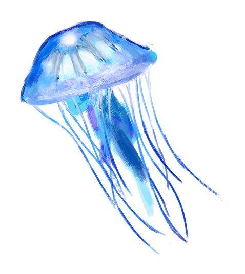 jellyfish_v.01.png