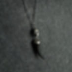 Thumbnail: Skull and Talon Necklace