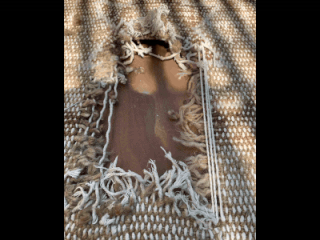 restoration-ezgif.com-resize.gif
