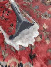 WhatsAppVideo2025-01-17at4.11.07PM-ezgif.com-resize.gif