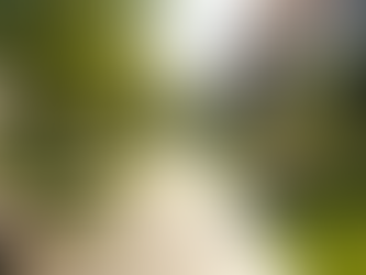 Building Community Connections: Beckett Family Properties' Plans for Engagement and Clean-Up Events