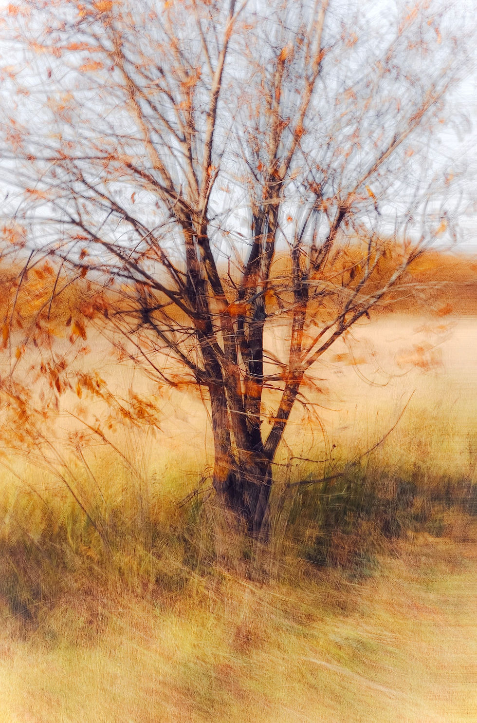 pexels-clickerhappy-11435.jpg