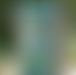  LA FONTAINE ARDENTE LE 20/08/2021