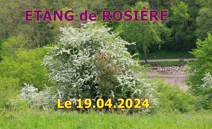           ETANG de ROSIÈRE LE 19/04/2024