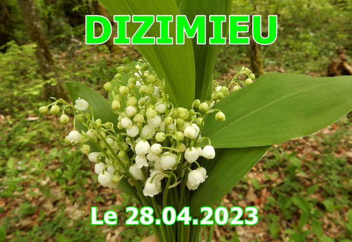                  DIZIMIEU LE 28/04/2023