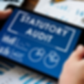 Statutory audit services for private limited companies and LLPs – accurate financial reporting, compliance with Companies Act, and audit by certified chartered accountants.