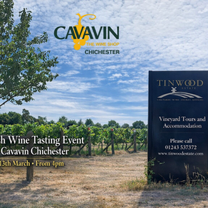 🍾 English Wine Tasting at Cavavin Chichester