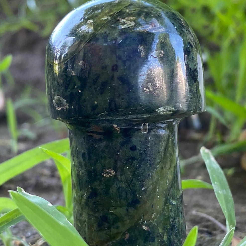 Thumbnail: Stone Mushroom