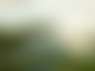 Das grüne Herz des Kanals