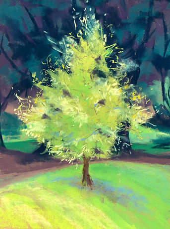 Bright Spark Tree.jpg