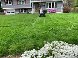 Dream Life Lawn Mowing