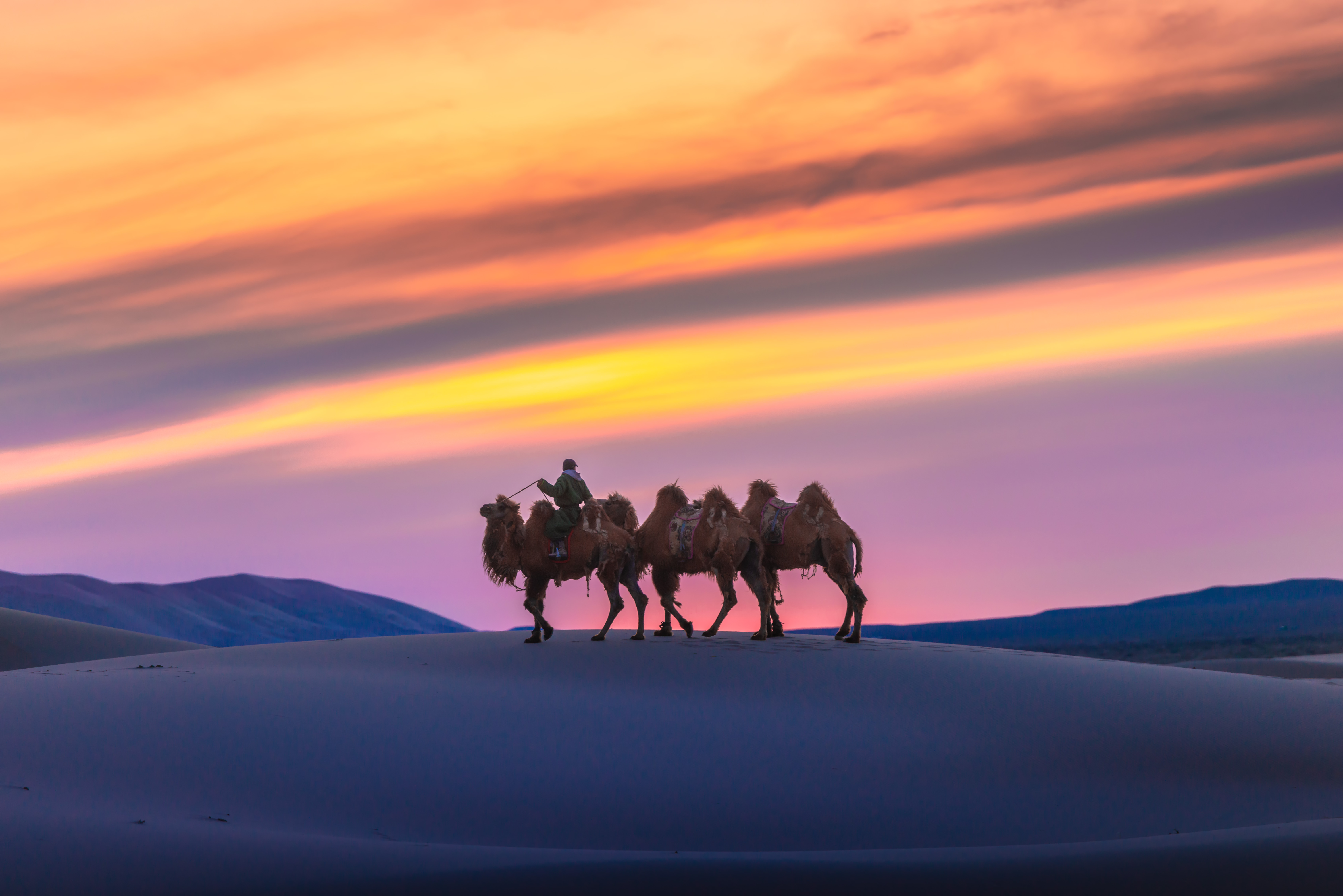 camel-going-through-sand-dunes-sunrise-gobi-desert-mongolia (2).jpg