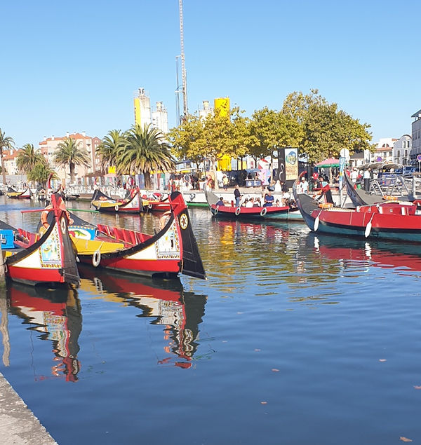 Moliceiros nos canais de Aveiro – tour privado