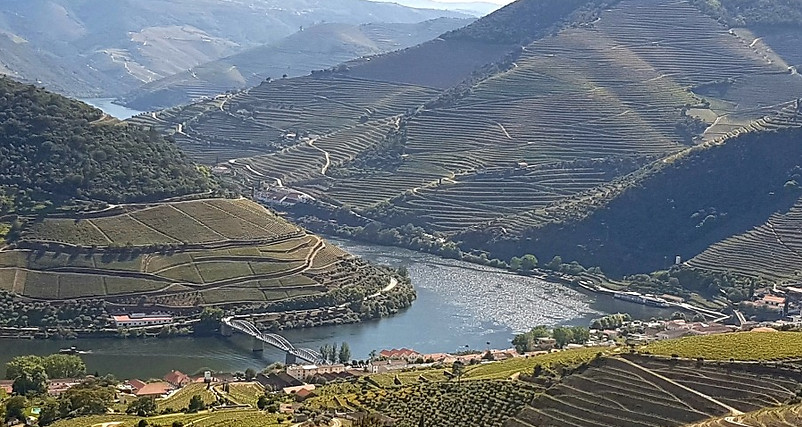 Douro Valley vineyards.jpg