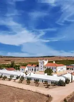 Torre de Palma wine hotel.webp