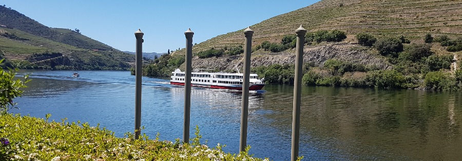 Douro River Cruise