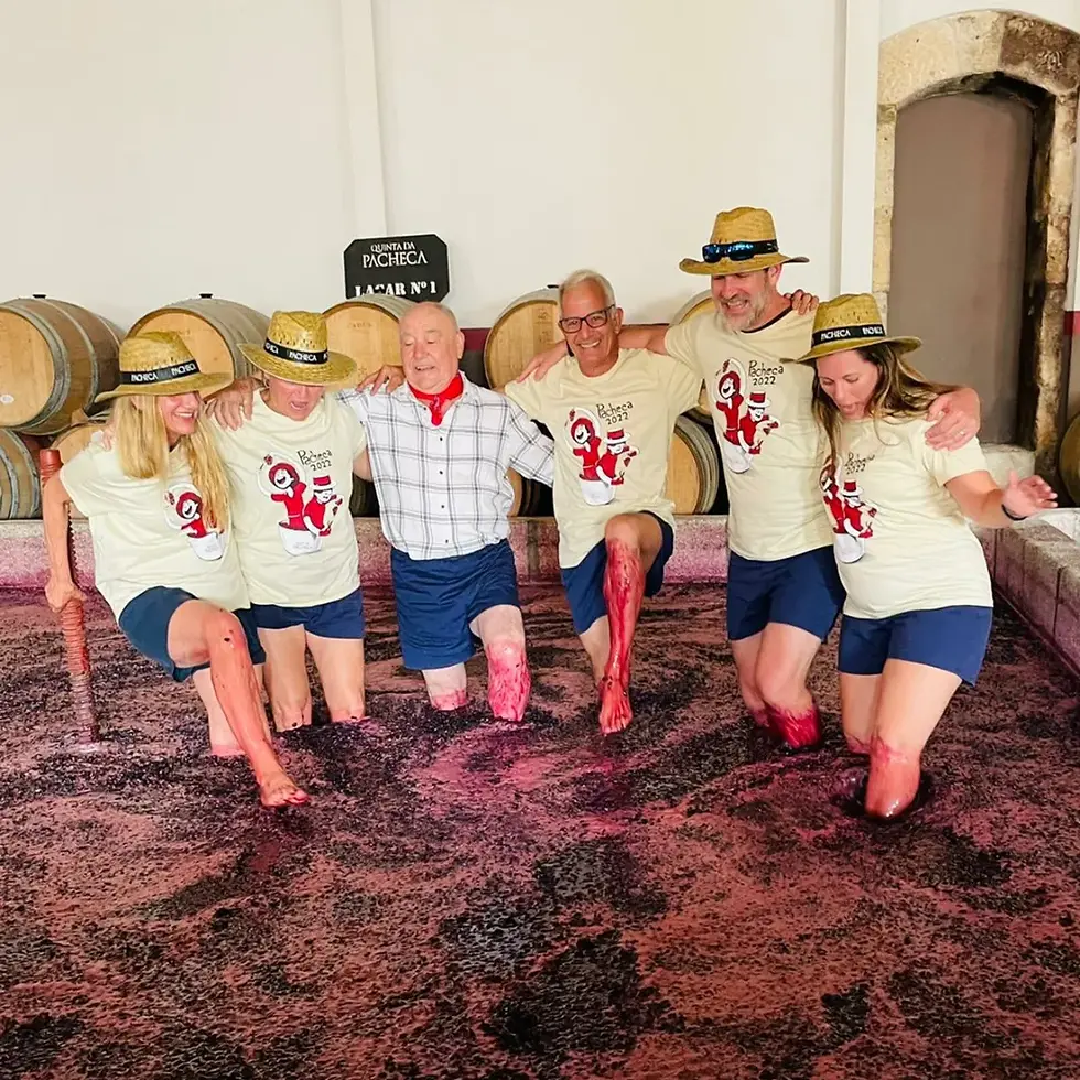 Douro Harvest Tours: An Unforgettable Experience