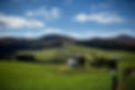 pexels-nc-farm-bureau-mark-2253209.jpg