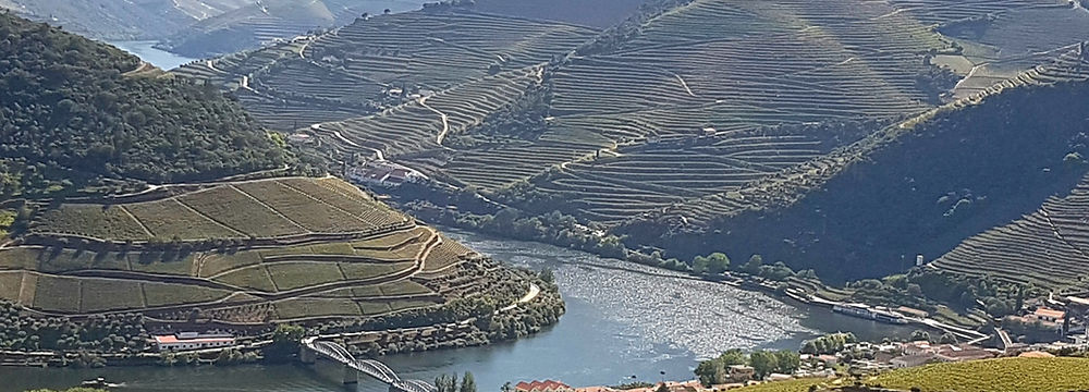 View from Casal dos Loivos