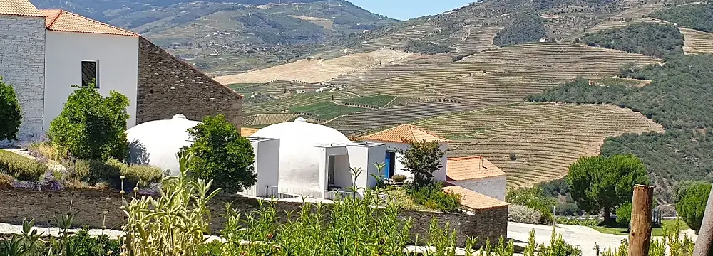 Ventozelo views